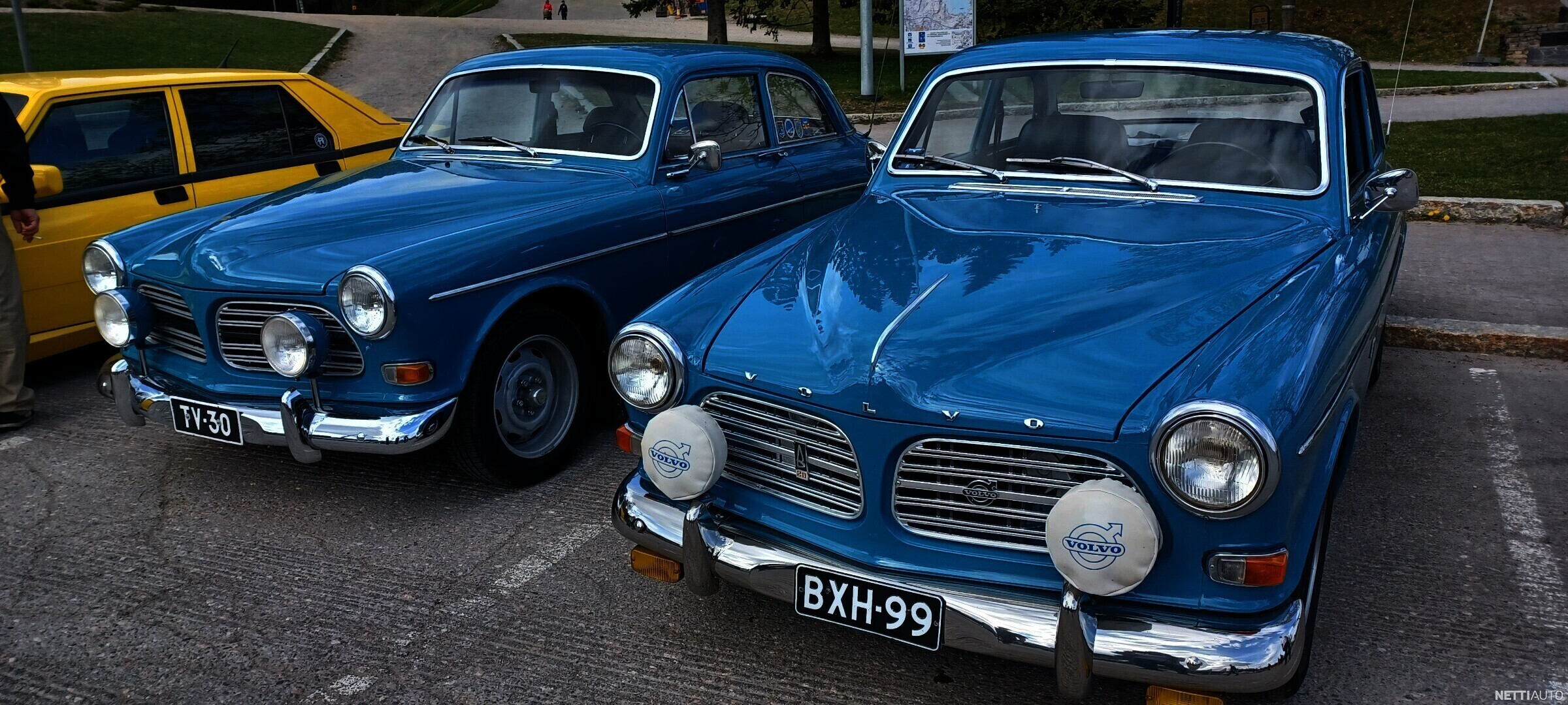 Volvo Amazon