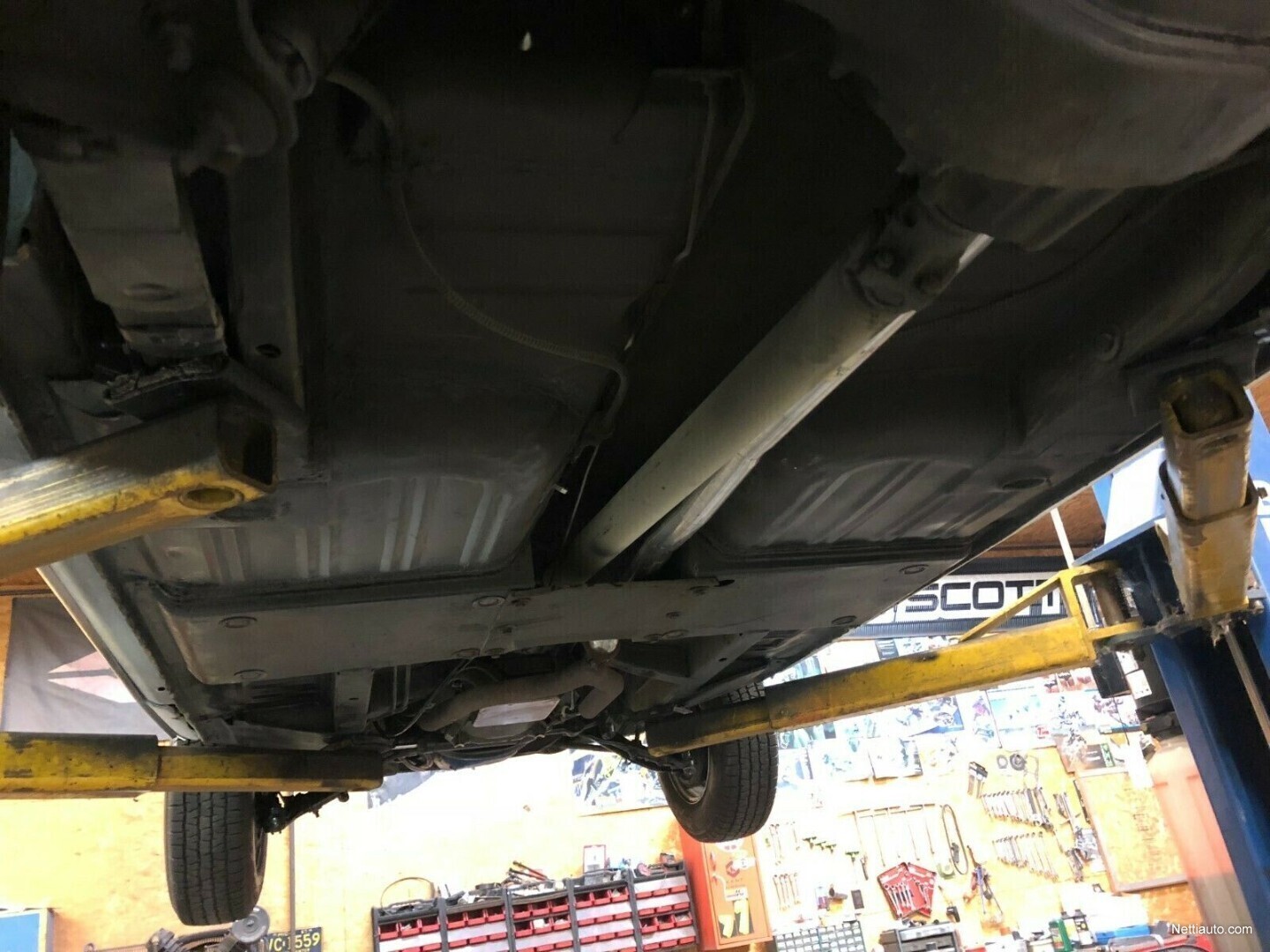 10 / 11