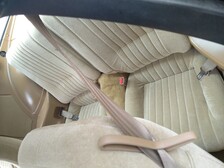 Pontiac Firebird