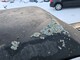 Volvo 245