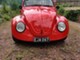 Volkswagen Kupla