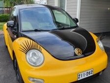 Volkswagen New Beetle