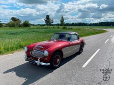 Austin Healey