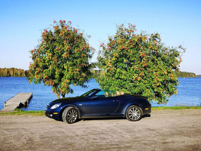Lexus SC