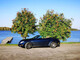 Lexus SC