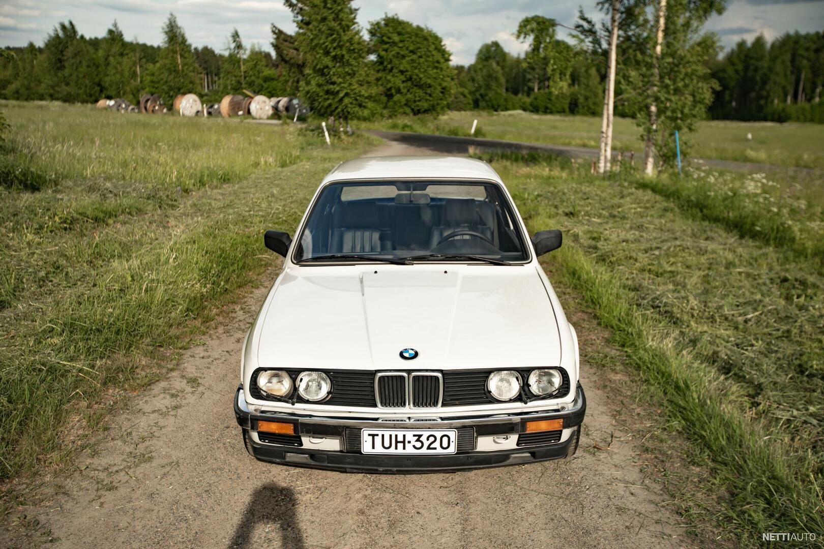 3 / 33