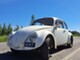 Volkswagen Kupla