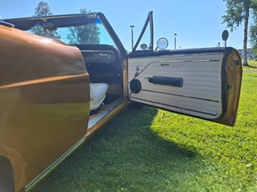 Buick Skylark