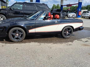 Triumph TR7