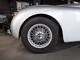 Jaguar XK