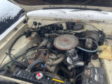 Dodge Swinger