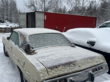 Dodge Swinger