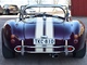 Cobra -