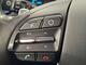 Hyundai Ioniq Plug-In