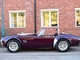 Cobra -