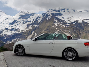 BMW 335