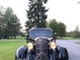 Dodge Brother