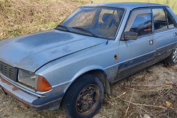 Peugeot 305