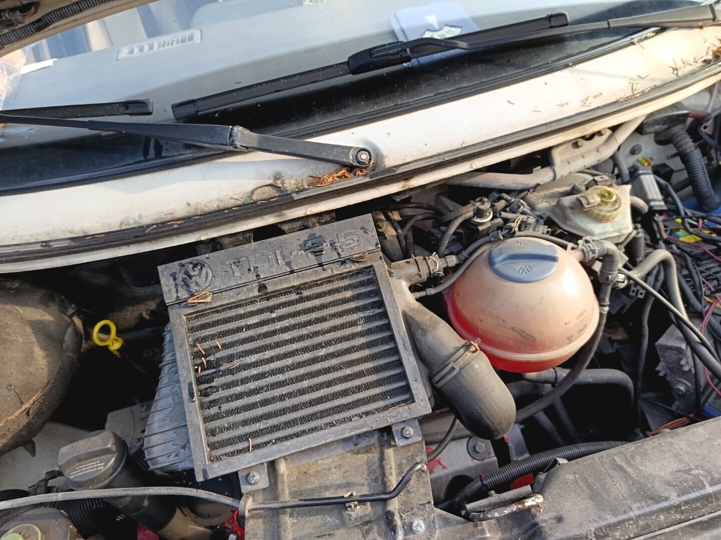 Volkswagen Transporter 1+8 bussi 1999, kuva 8/8
