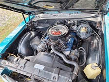 Buick Skylark