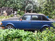 Volvo 244