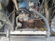 Volvo 244
