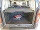 Citroen e-Berlingo