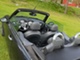 MINI Cabrio