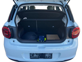 JAC E30X
