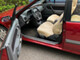 Rover 216