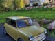 MINI 1000