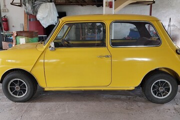 MINI 1000