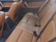 BMW 335