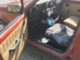 Opel Kadett