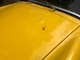 MG Midget