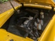MG Midget