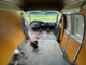 Ford Econoline
