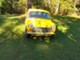 MINI 1000