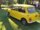 MINI 1000