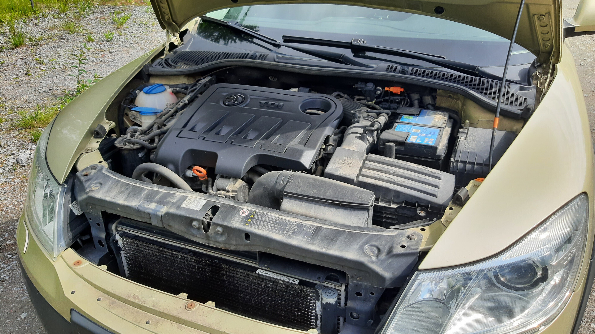 Skoda Octavia 2012, photo 6/10