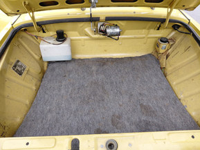 Skoda 100