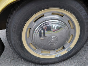 Skoda 100