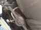Ford Taunus