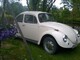 Volkswagen Kupla