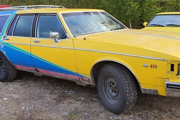 Oldsmobile Custom Cruiser