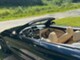 BMW 435