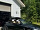 BMW 435