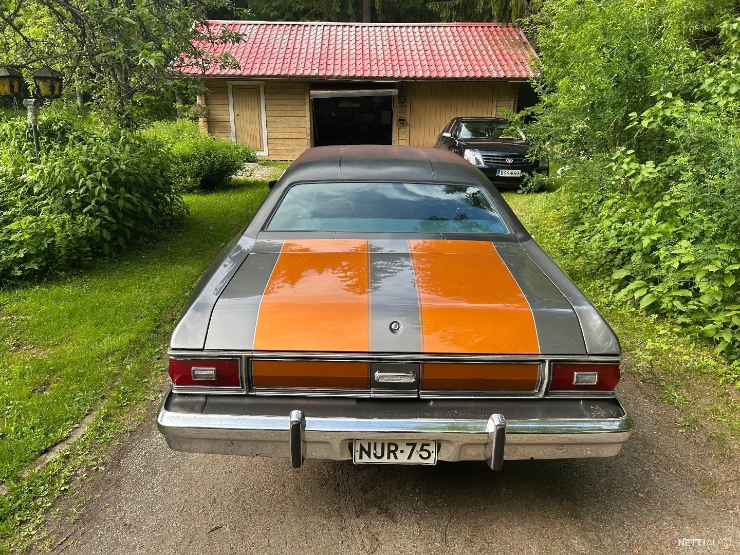 19 / 22