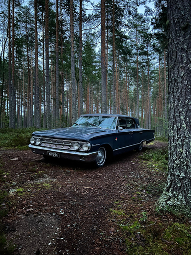 Mercury Monterey