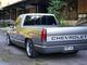 Chevrolet Fleetside